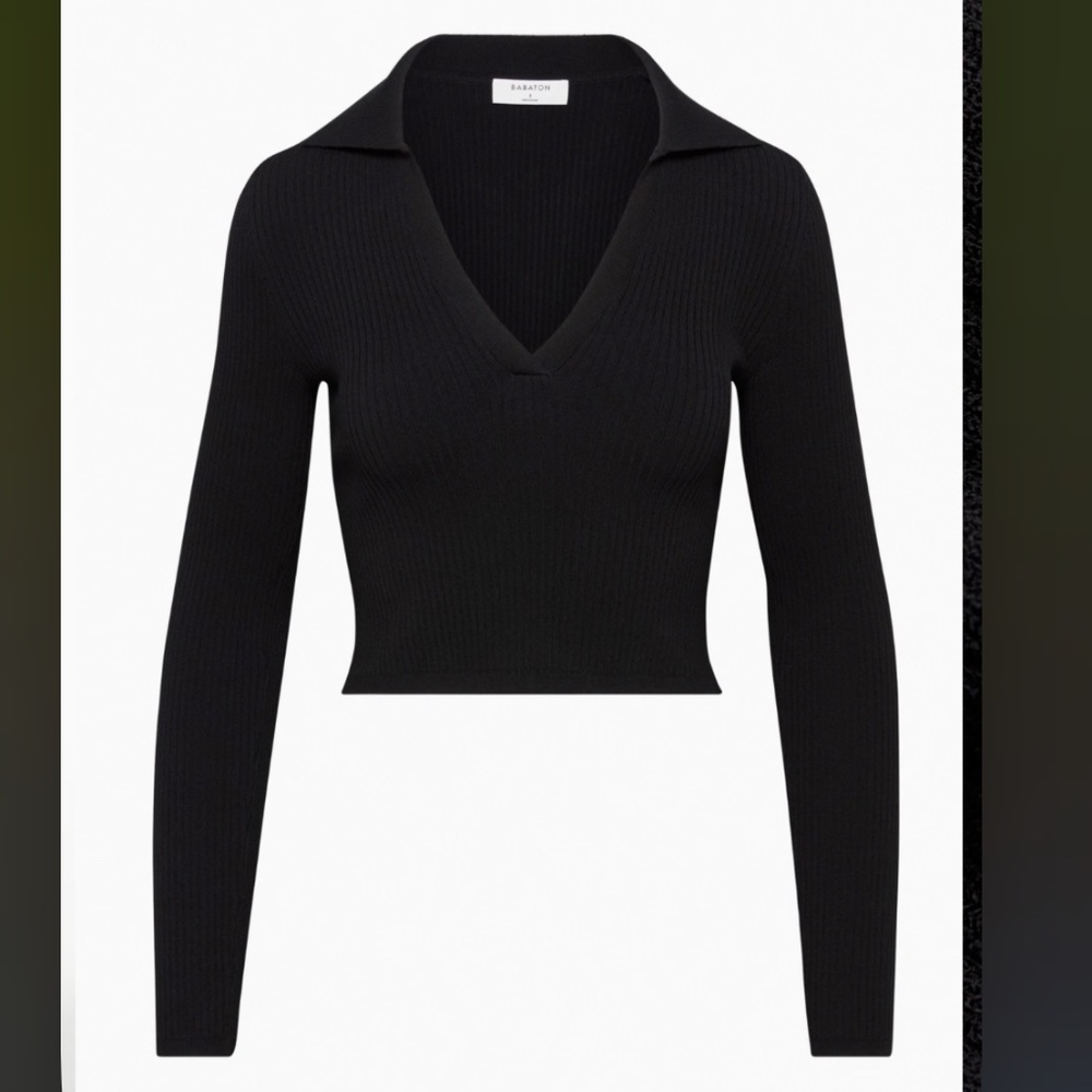 Aritiza Sculpt Knit Polo Longsleeve